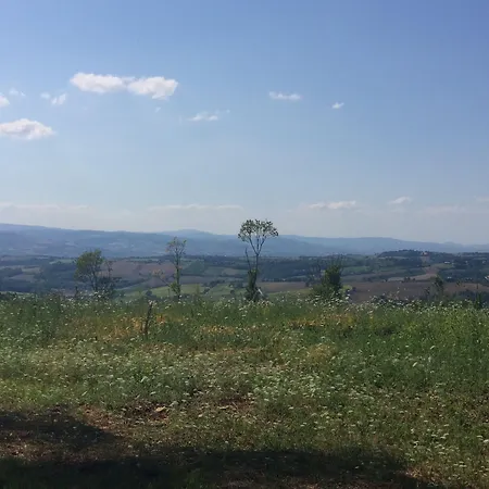 Abbazia Ortodossa Di San Martino Due Santi